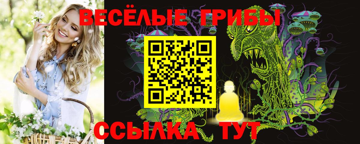 Еманжелинск  Галлюциногенные грибы GOLDEN TEACHER  что такое наркотик  Вход с VPN 