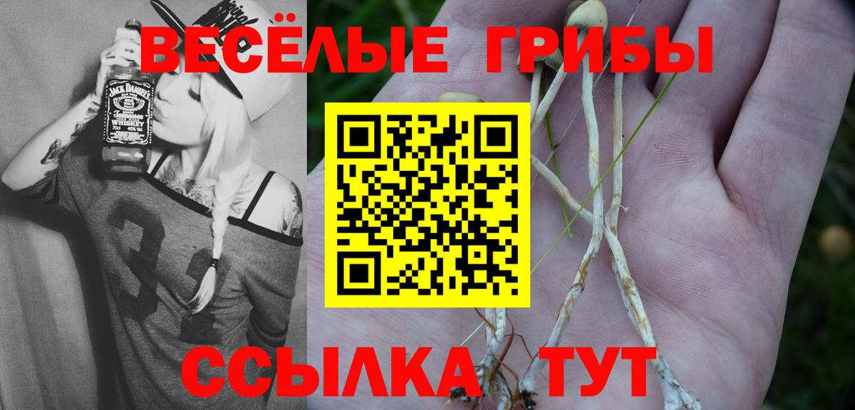 Псилоцибиновые грибы Psilocybe Еманжелинск